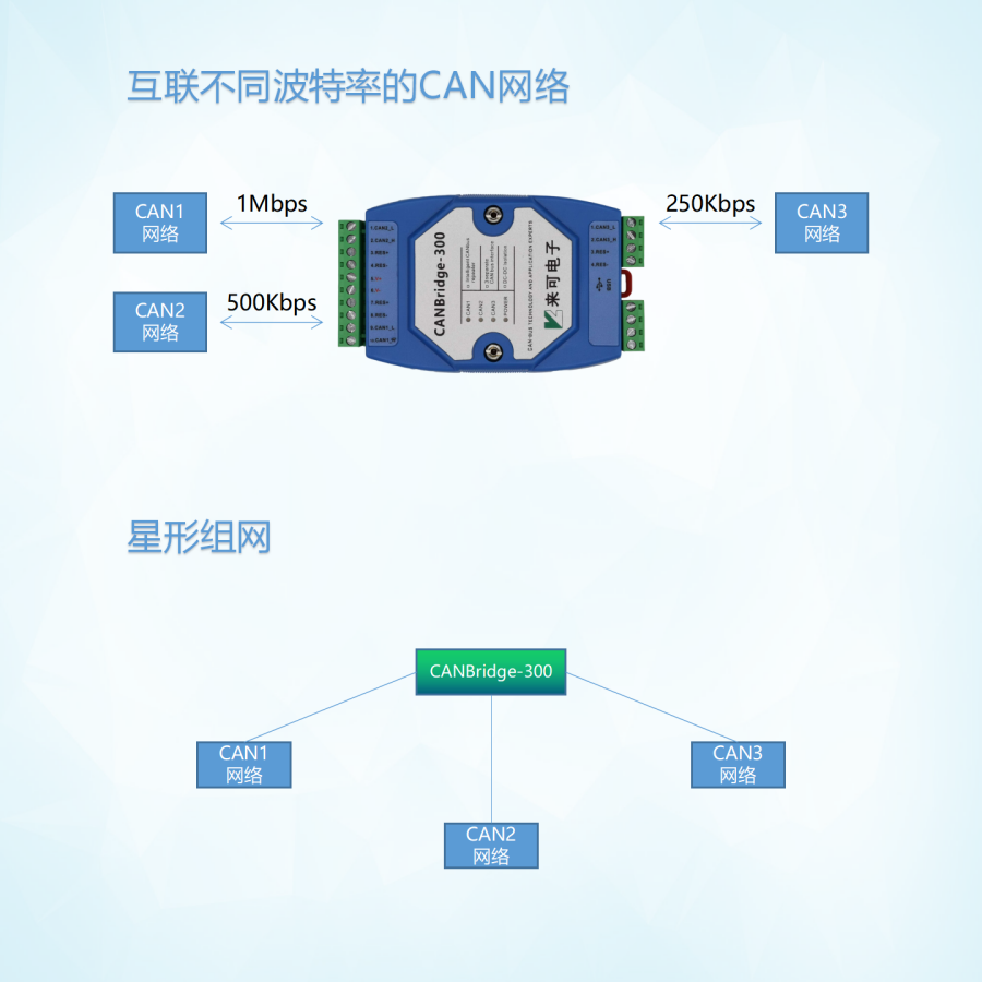 canbridge-300_05(1).png